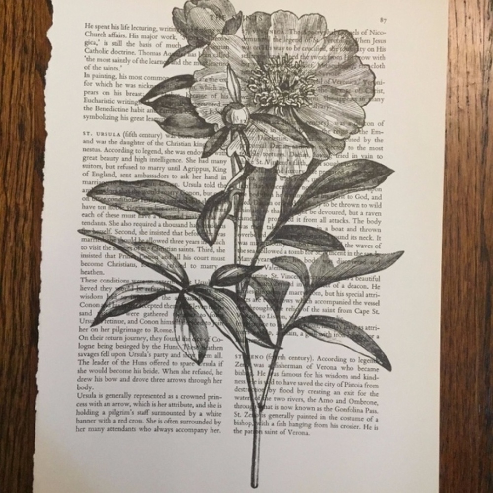 Vintage Peony Book Print